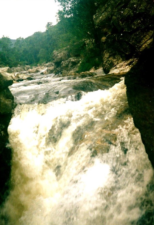 Schotland_GlenAffric_1990_Img0010