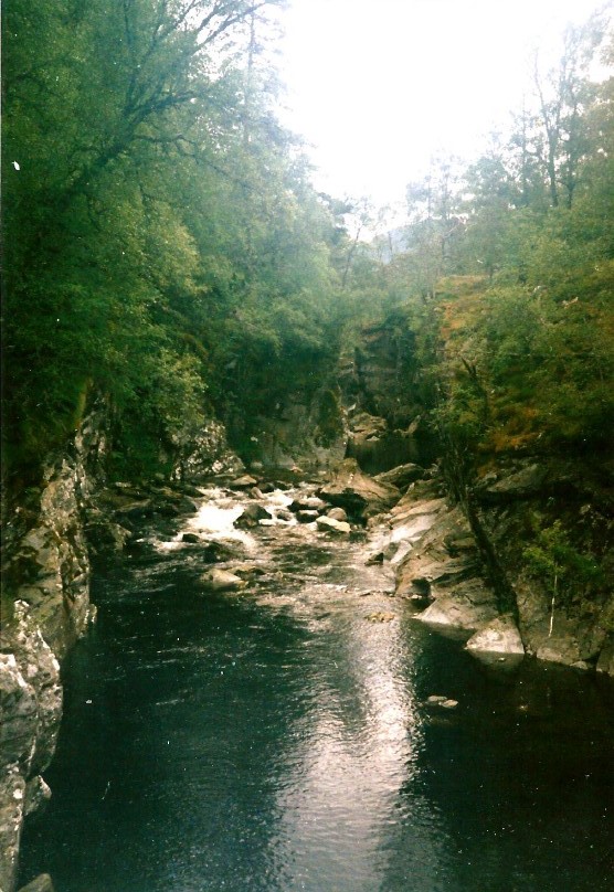 Schotland_GlenAffric_1990_Img0011