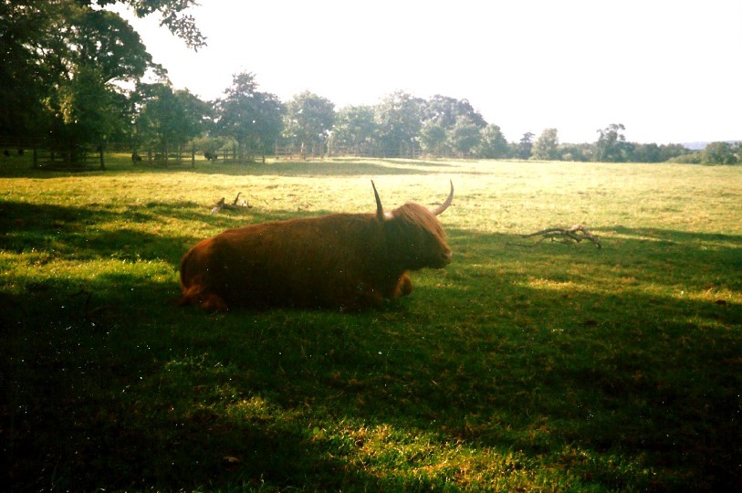 Schotland_Nairn_1990_Img0016