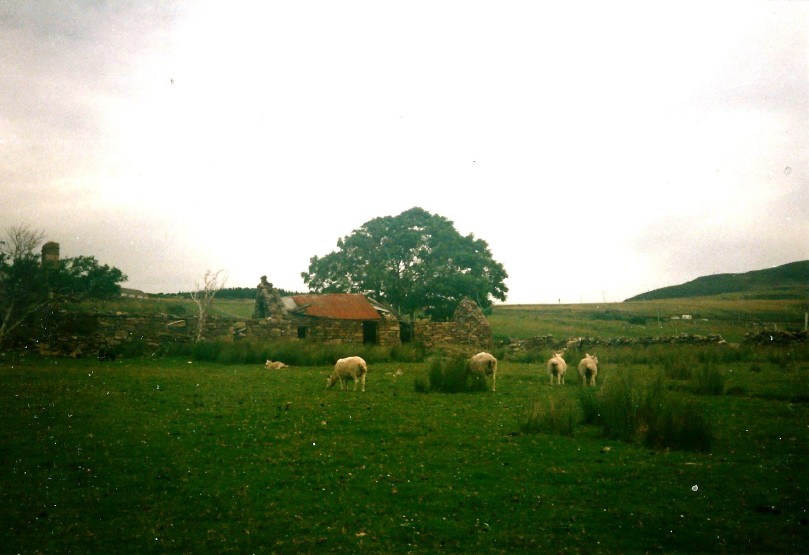 Schotland_Ullapool_1990_Img0014