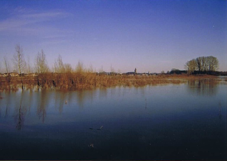 Stadsland_Deventer_002