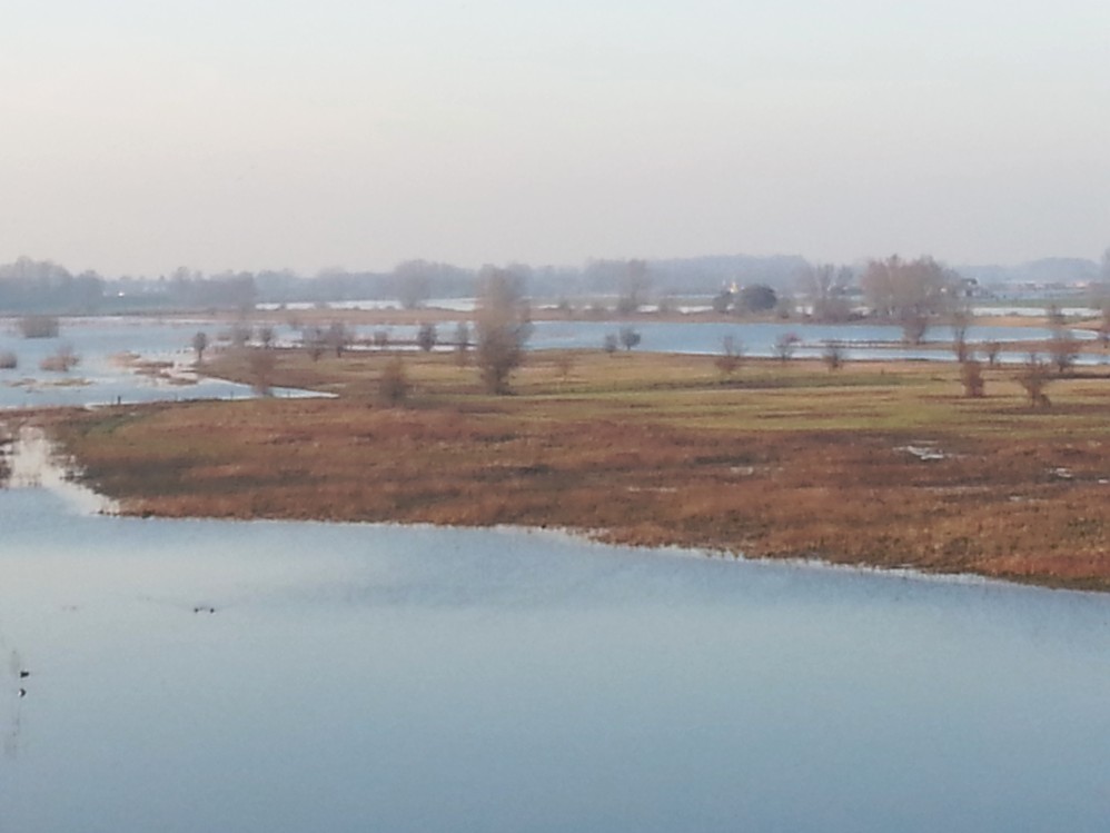 Stadsland_Deventer_014