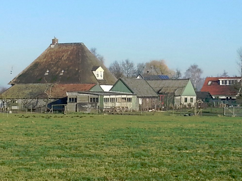 Tuylermarkerpad_Deventer_008