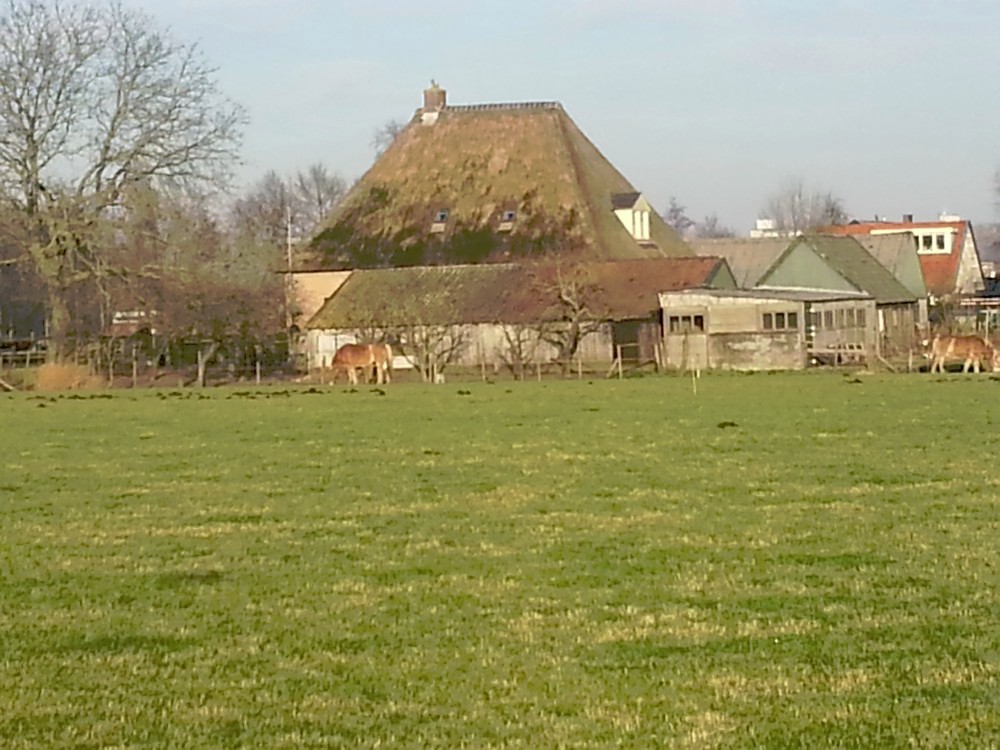 Tuylermarkerpad_Deventer_008a