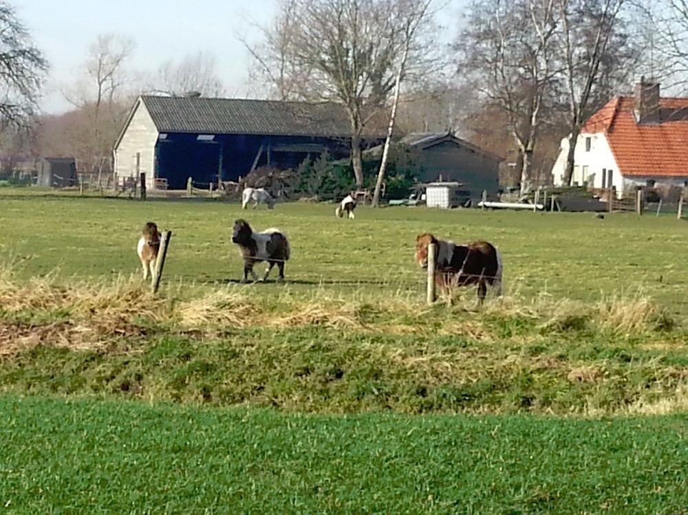 Tuylermarkerpad_Deventer_016