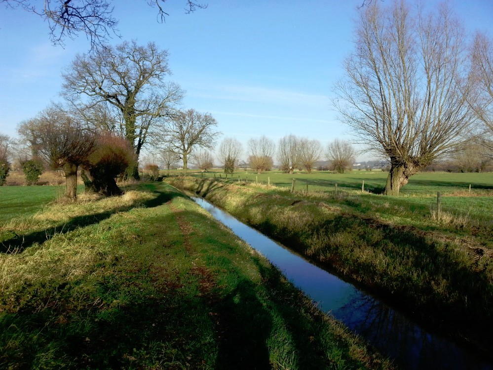 Tuylermarkerpad_Deventer_035