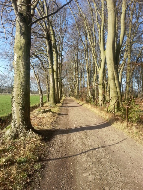 Deventer_Olst_079