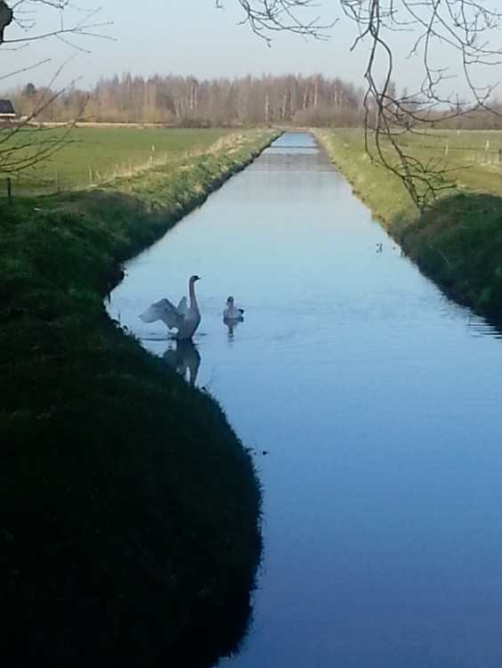 Deventer_Twello_066