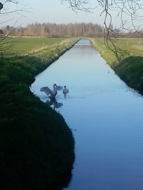 Deventer_Twello_067