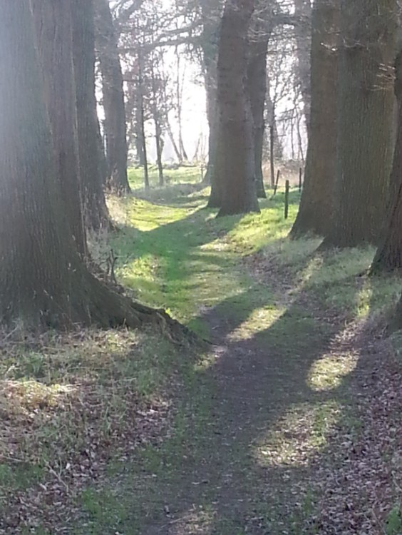 Deventer_Twello_083