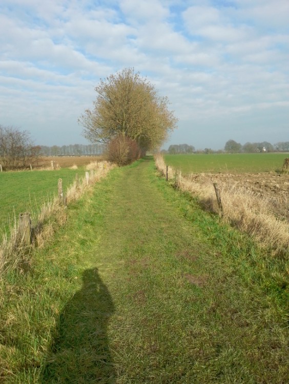 Zutphen_Deventer_078