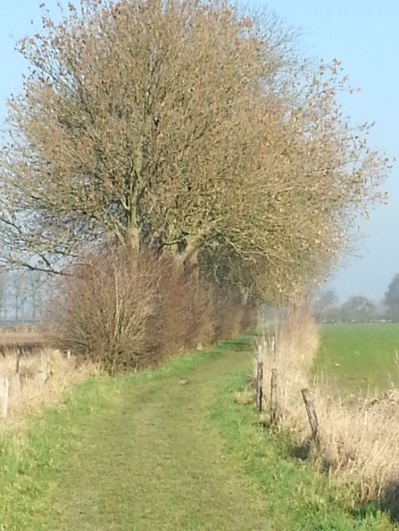 Zutphen_Deventer_080