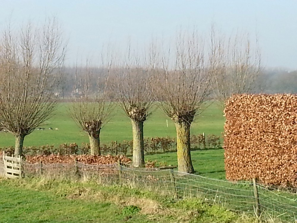 Zutphen_Deventer_122