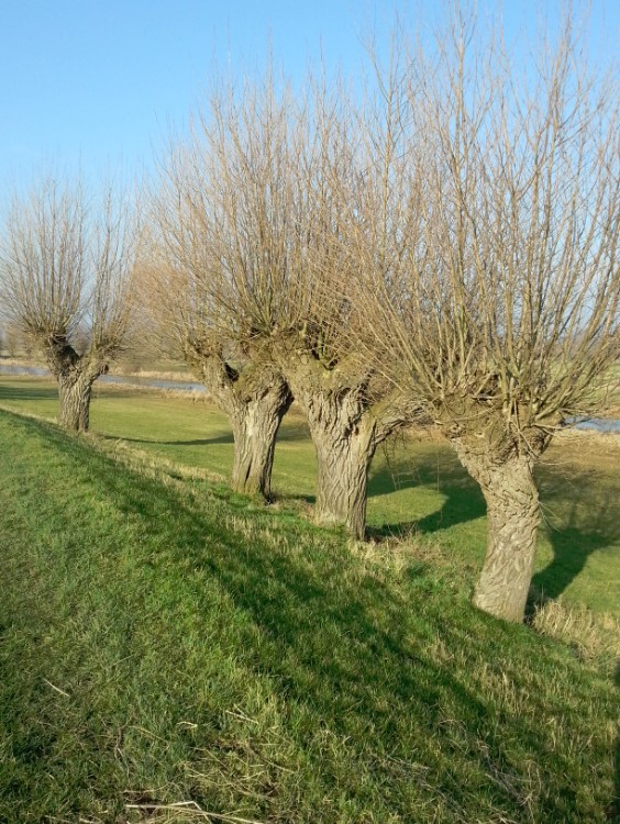 Zutphen_Deventer_139