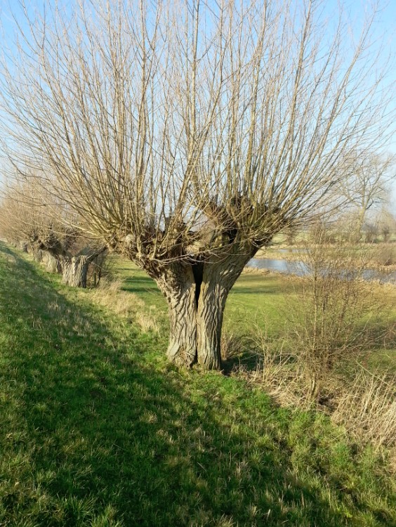 Zutphen_Deventer_142