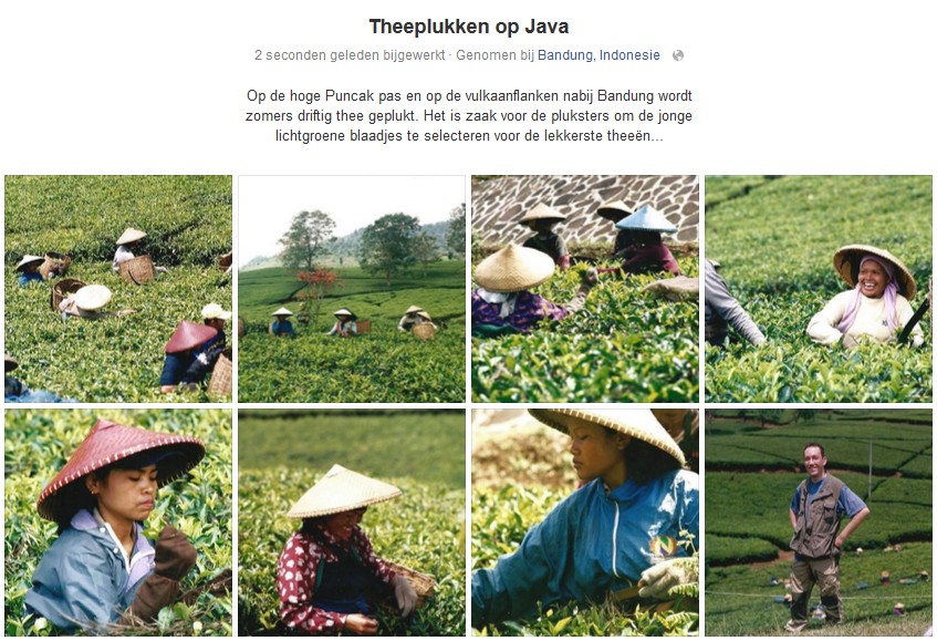 0003 Theepluksters op Java