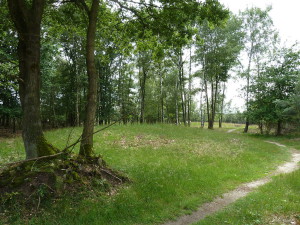 Grafheuvels op de Jammerdaalse Heide...