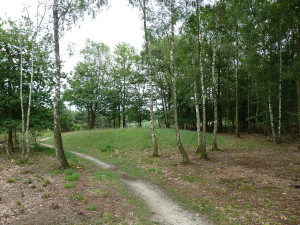 Grafheuvels op de Jammerdaalse Heide...