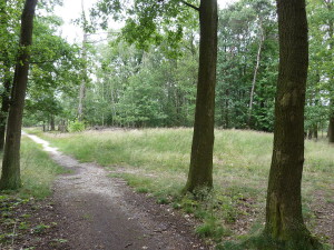 Grafheuvels op de Jammerdaalse Heide...