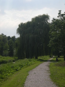 Bergerpark in zuidelijke richting...