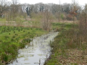 Boerderij in het "diepe veen"...