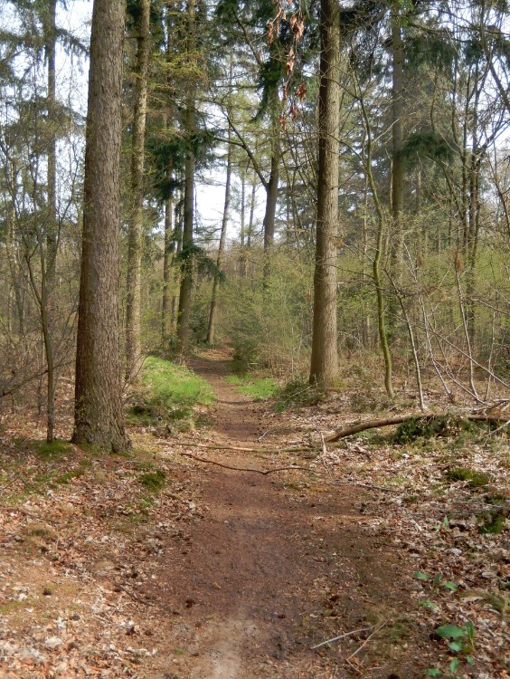 Diepenveen_Rande_Kuierroute_0004