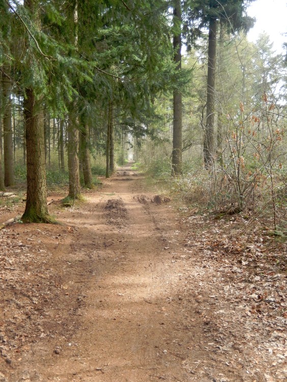 Diepenveen_Rande_Kuierroute_0005