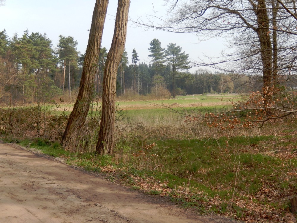 Diepenveen_Rande_Kuierroute_0008