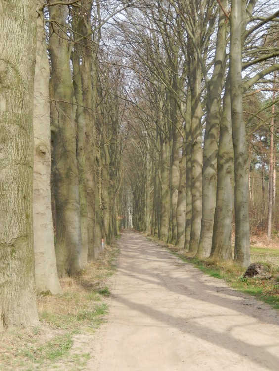 Diepenveen_Rande_Kuierroute_0009