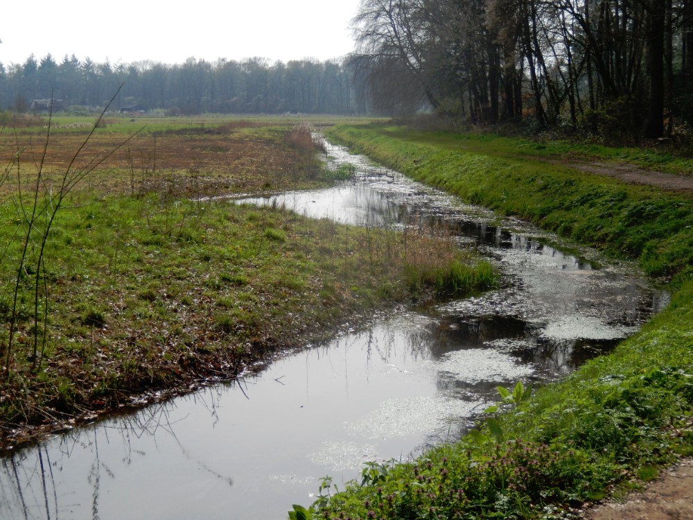 Diepenveen_Rande_Kuierroute_0010