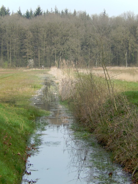 Diepenveen_Rande_Kuierroute_0011