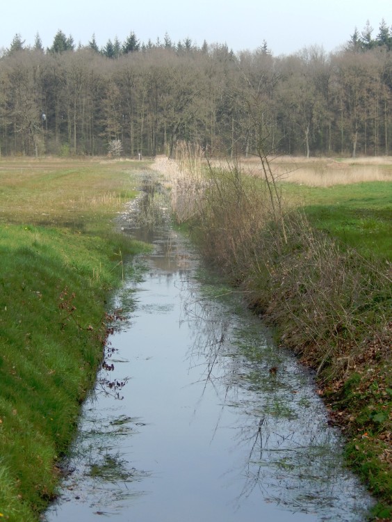 Diepenveen_Rande_Kuierroute_0012