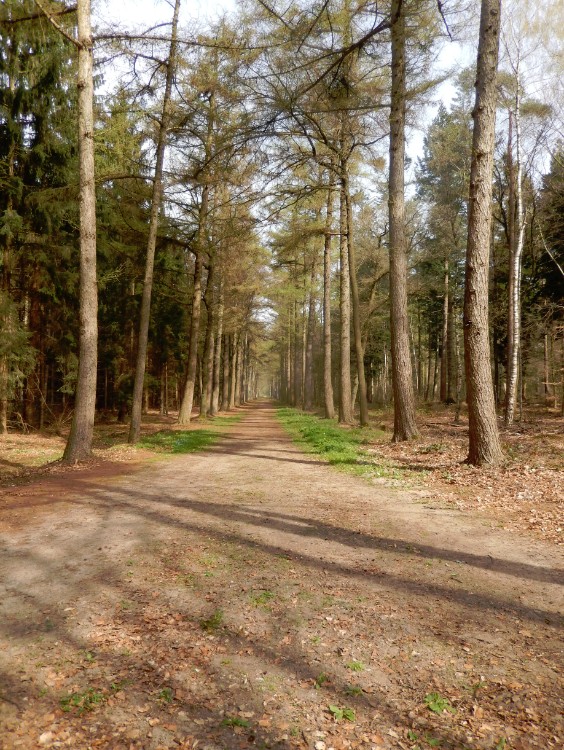 Diepenveen_Rande_Kuierroute_0014