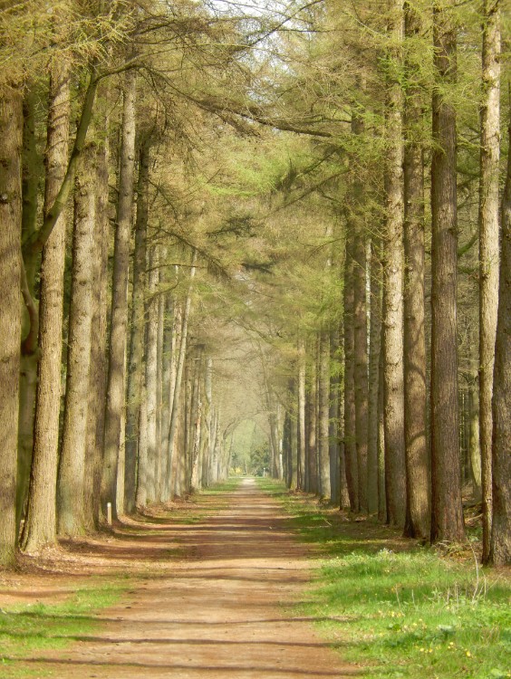 Diepenveen_Rande_Kuierroute_0015