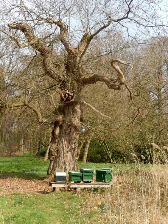 Diepenveen_Rande_Kuierroute_0026