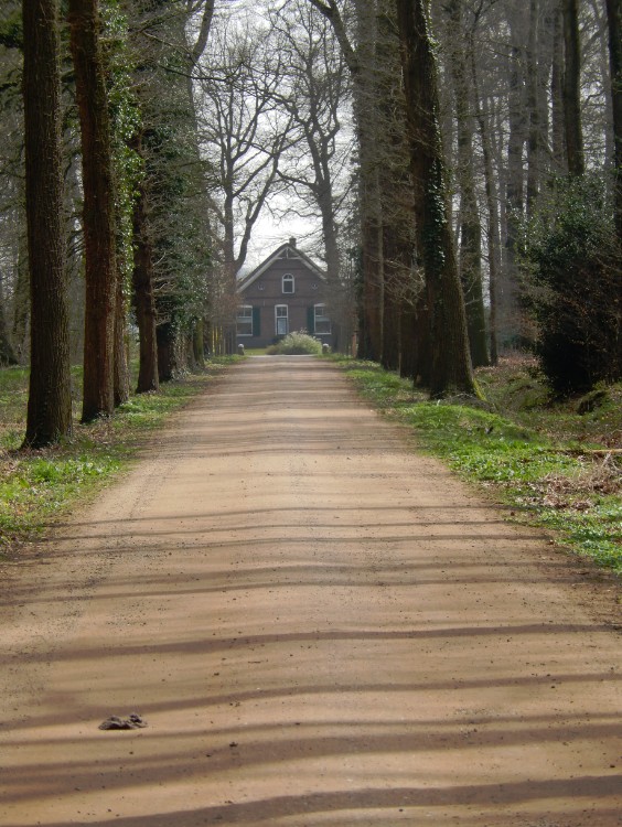 Diepenveen_Rande_Kuierroute_0028