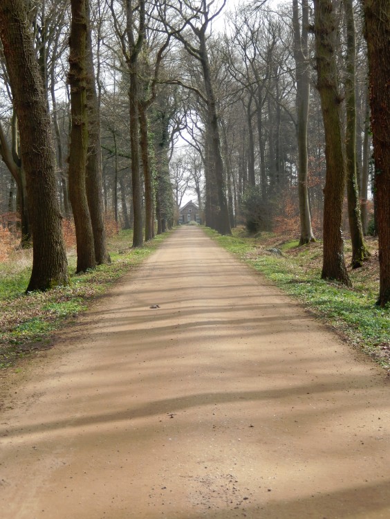 Diepenveen_Rande_Kuierroute_0029