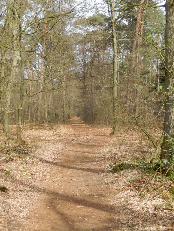 Diepenveen_Rande_Kuierroute_0032