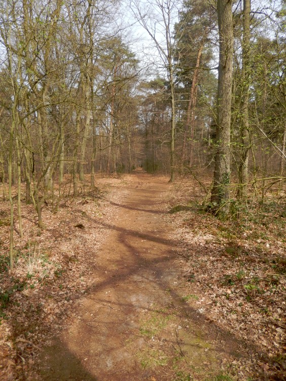 Diepenveen_Rande_Kuierroute_0033