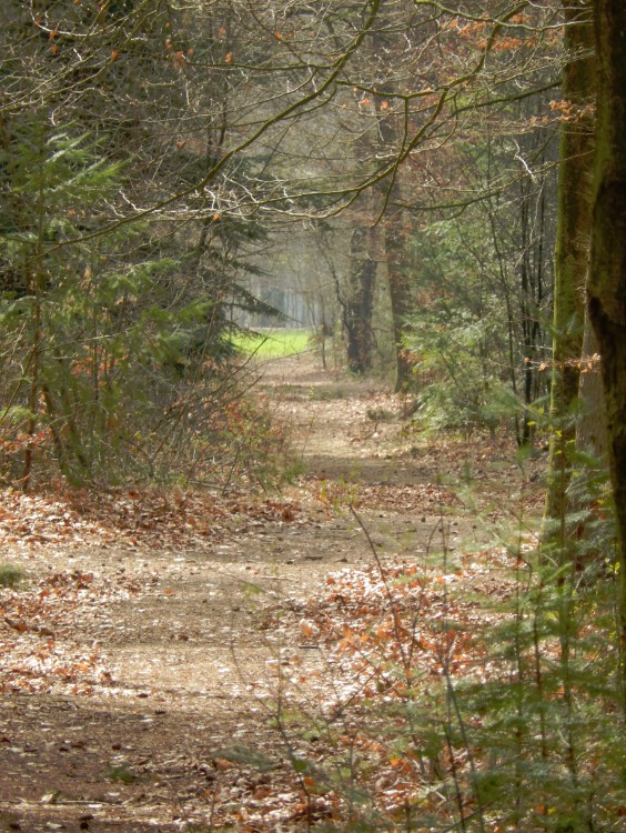 Diepenveen_Rande_Kuierroute_0036