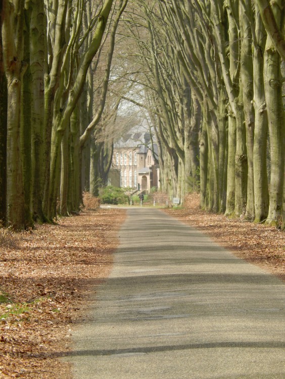 Diepenveen_Rande_Kuierroute_0037