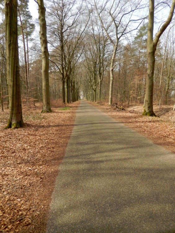 Diepenveen_Rande_Kuierroute_0039