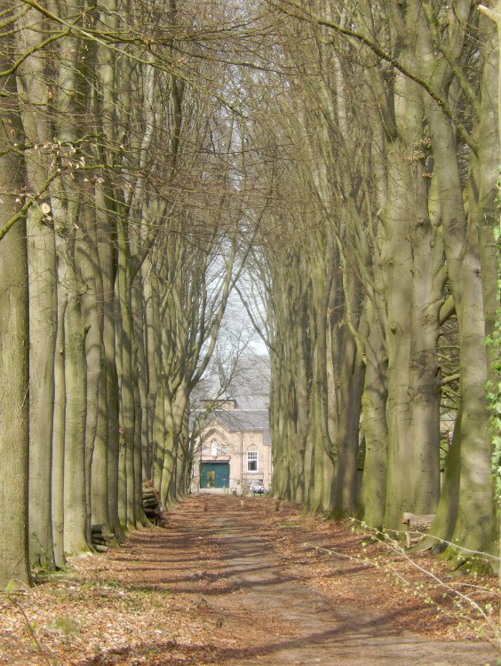 Diepenveen_Rande_Kuierroute_0064