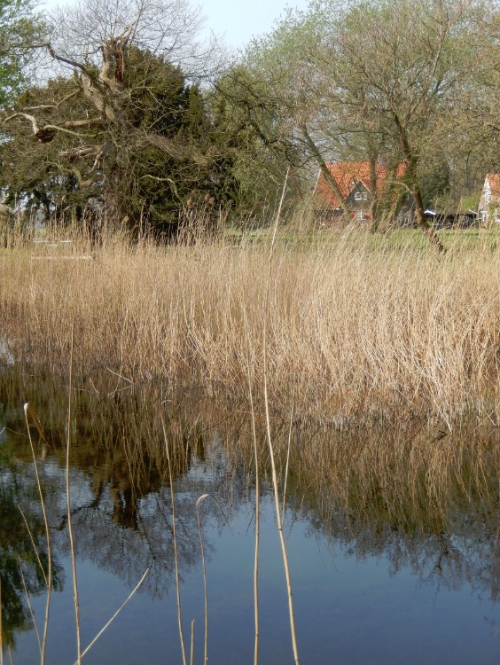 Diepenveen_Rande_Kuierroute_0065