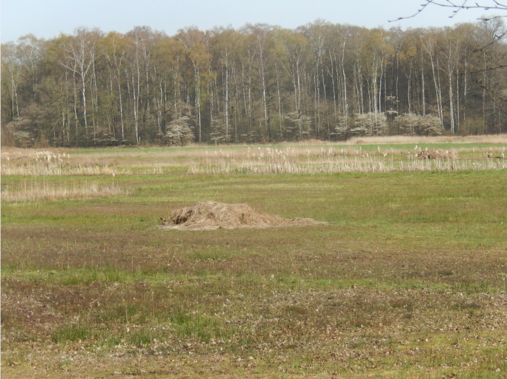 Diepenveen_Rande_Kuierroute_0076