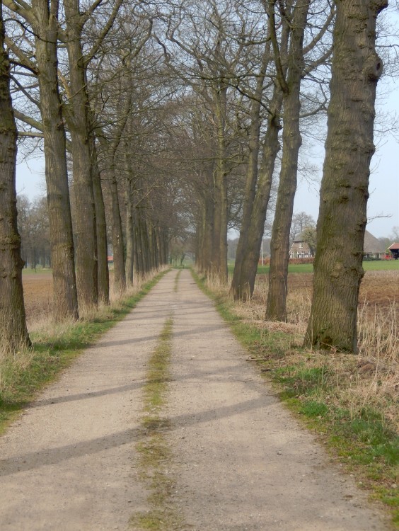 Diepenveen_Rande_Kuierroute_0078