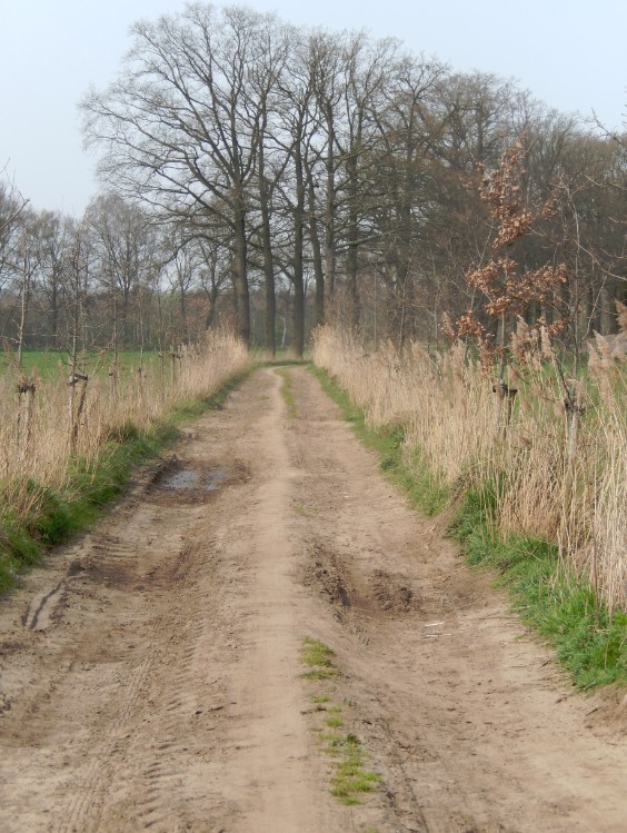 Diepenveen_Rande_Kuierroute_0082