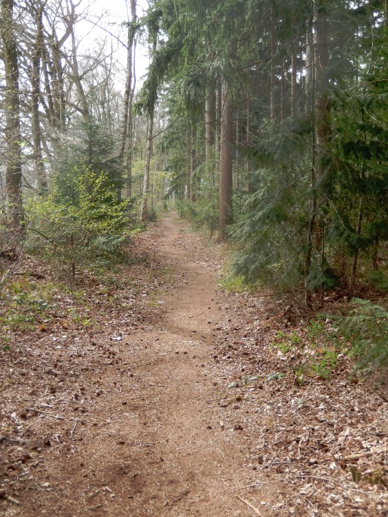 Diepenveen_Rande_Kuierroute_0093