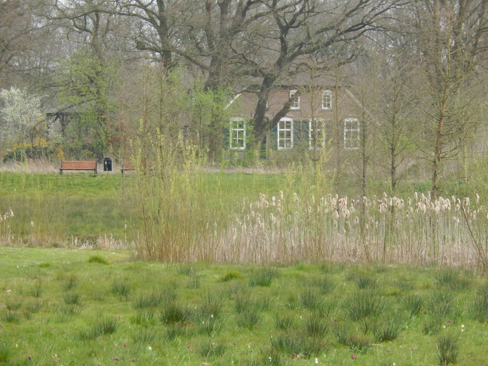 Diepenveen_Rande_Kuierroute_0096