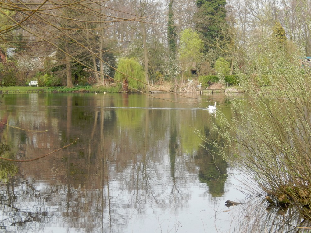 Diepenveen_Rande_Kuierroute_0112